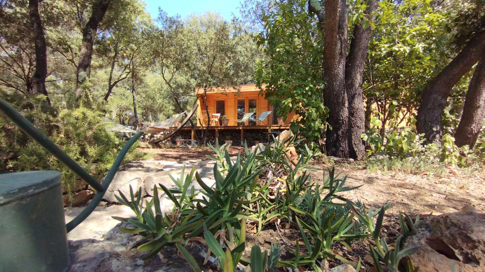 La Bergerie Des Colles Bed and Breakfast Entrecasteaux Buitenkant foto