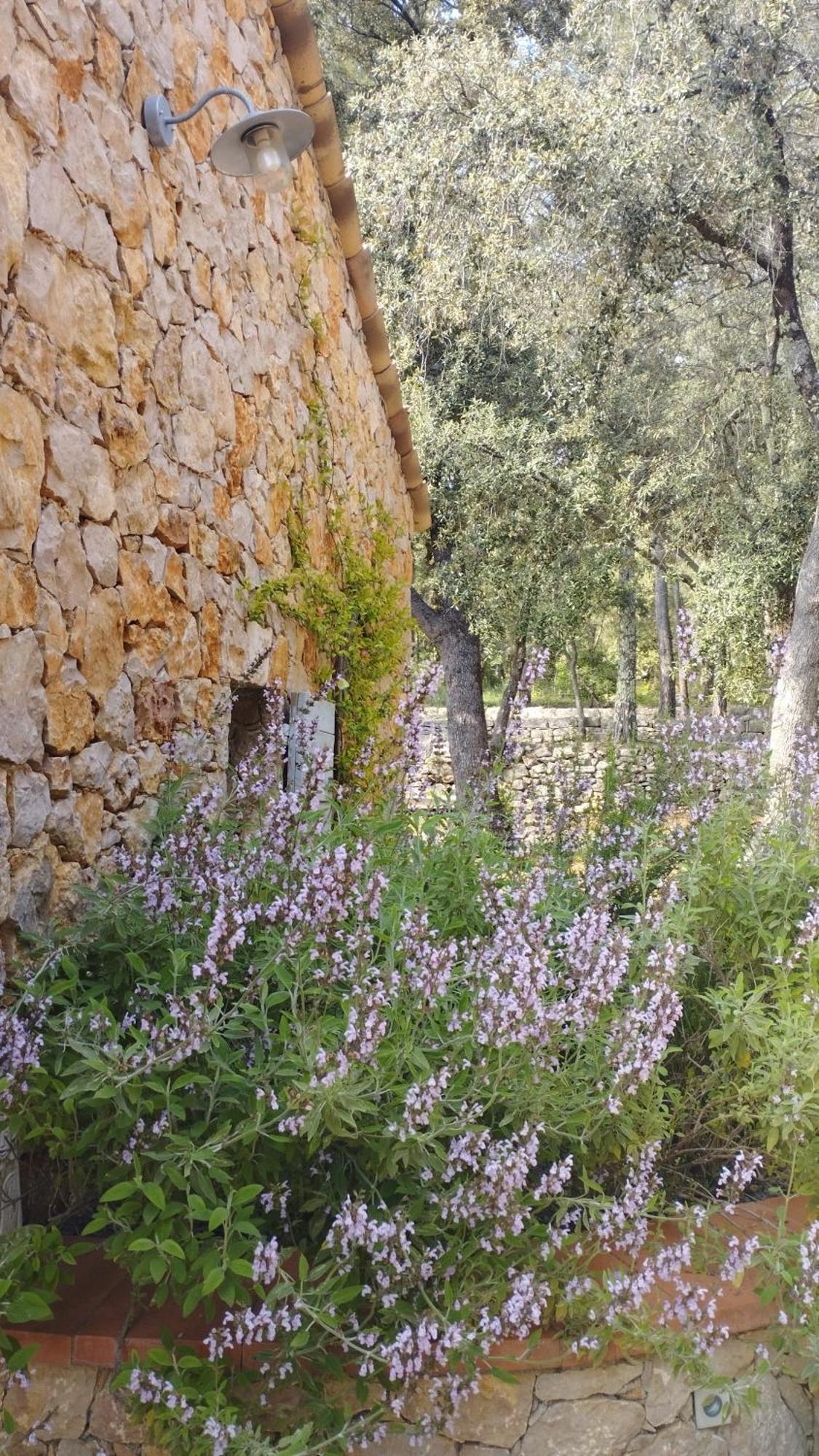 La Bergerie Des Colles Bed and Breakfast Entrecasteaux Buitenkant foto